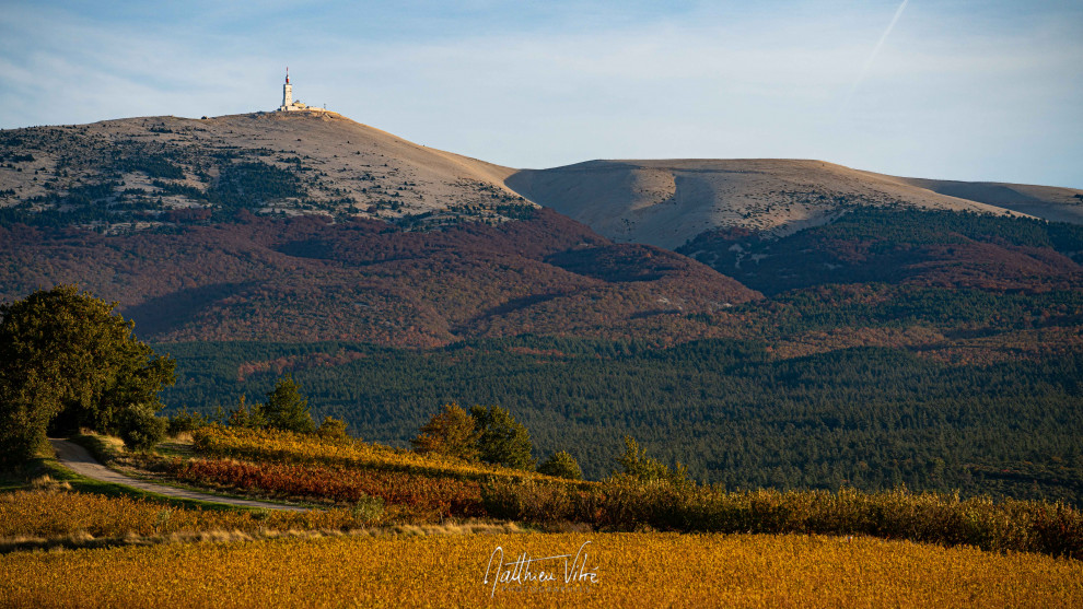 ©MATTHIEU_VITRÉ_201025MV-78.jpg