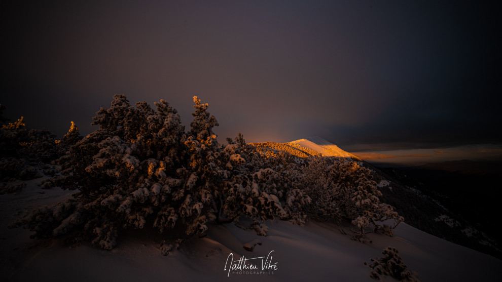©MATTHIEU_VITRÉ_201230MV-135-Modifier.jpg