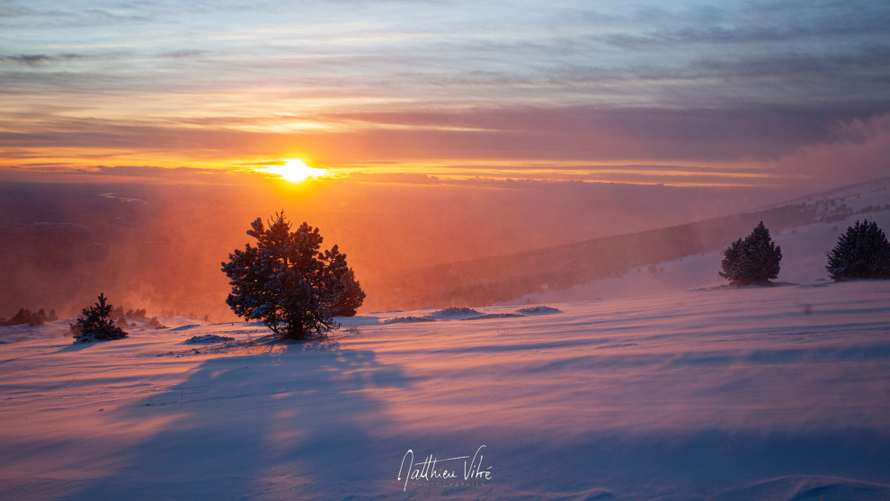©MATTHIEU_VITRÉ_160207mv-157.jpg
