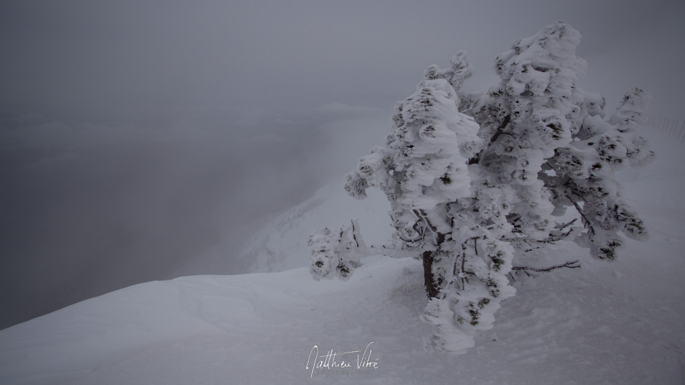 ©MATTHIEU_VITRÉ_160228mv-47.jpg
