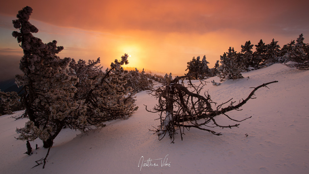 ©MATTHIEU_VITRÉ_170129mv-35.jpg