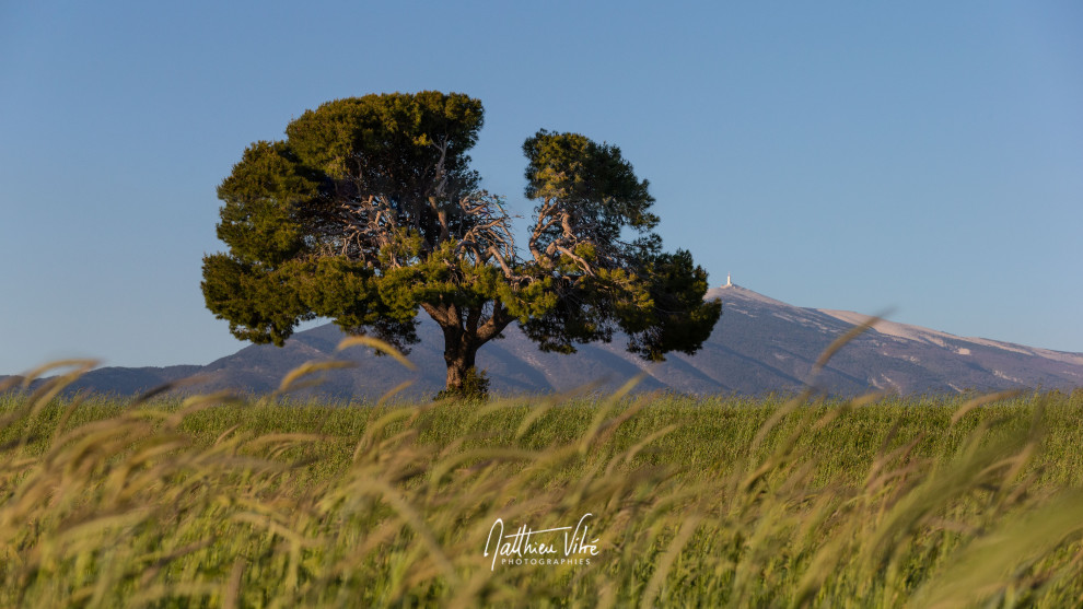 ©MATTHIEU_VITRÉ_100523MV-4-Modifier.jpg